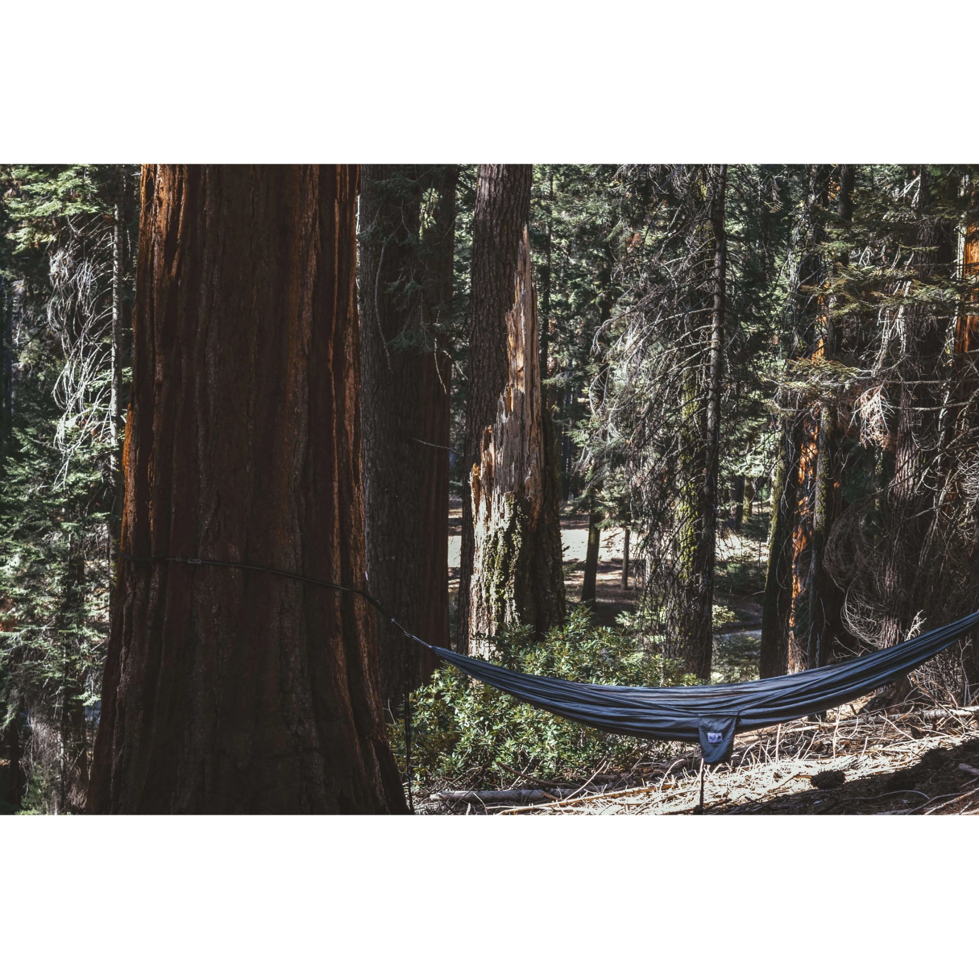 COASTAL CRADLE HAMMOCK™